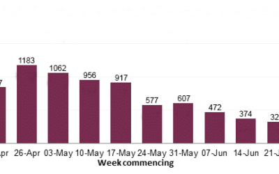 HSE statistics release: coronavirus disease reports and new support for reporting