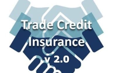 Updated Trade Credit Insurance Guidance: A vital lifeline for construction