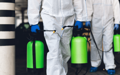 Disinfecting using fog, mist and other systems during the pandemic