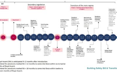 Some concerns related to the disproportionate impact of the Building Safety Bill