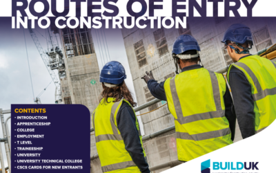 Guidance on employment entry into construction