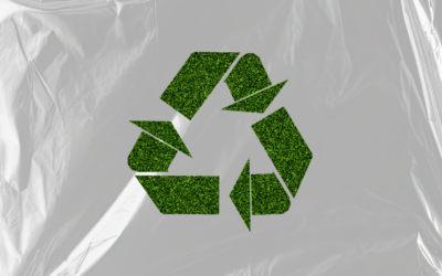 Extended Producer Responsibility Regulations on Packaging Waste