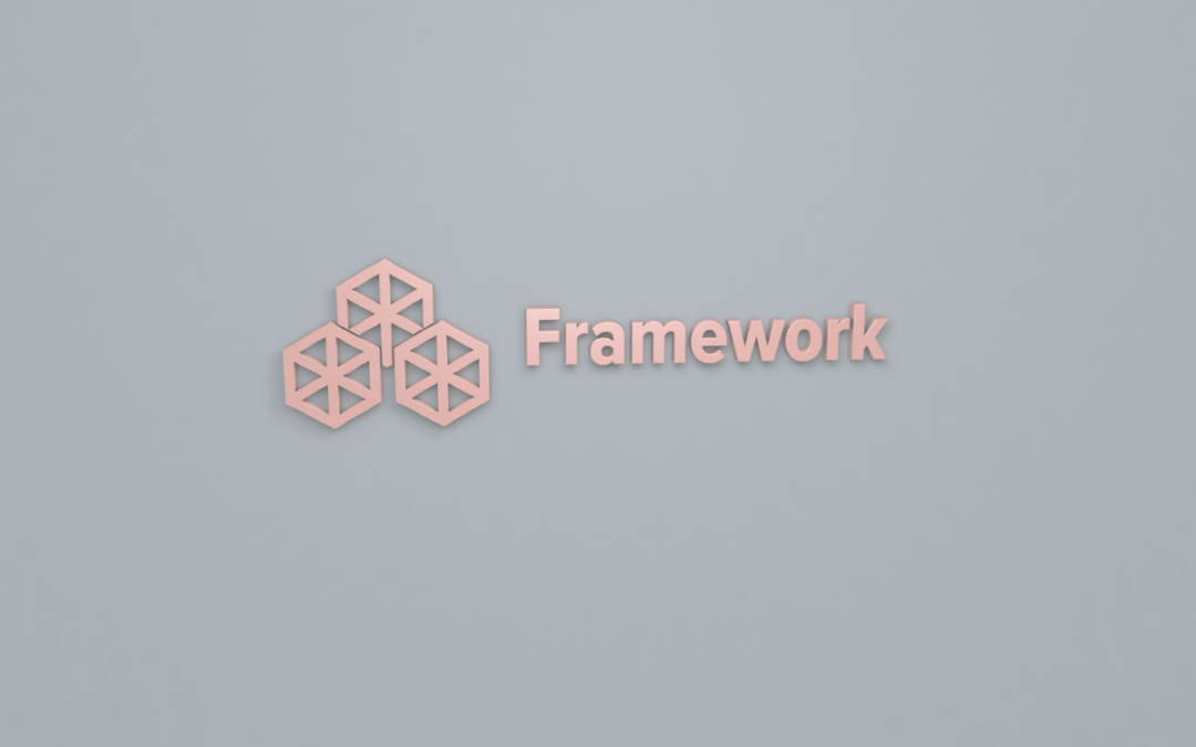SFS competency framework