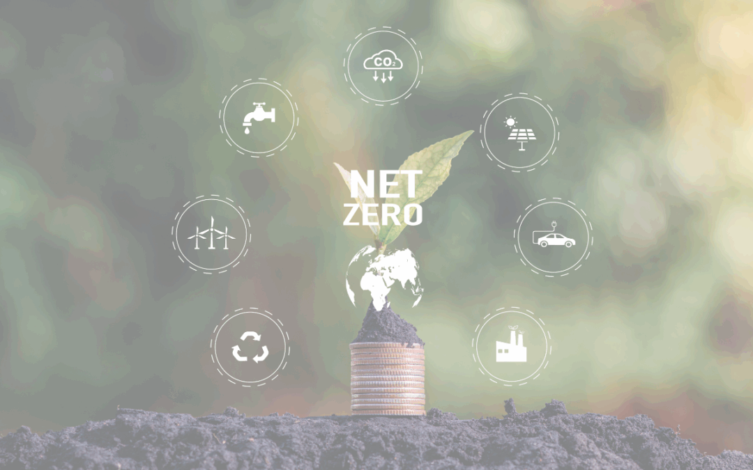 Start your Net Zero journey with a free assessment