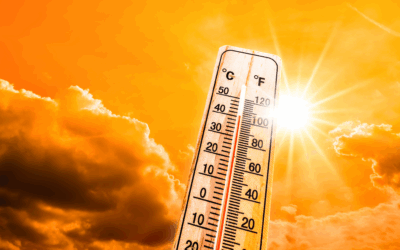 Working in a Heatwave: Don’t Let Rising Temperatures Damage Your Finish