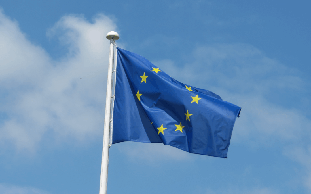 EU-REACH Fees to Increase from November 2025 – New SME Verification Process Announced