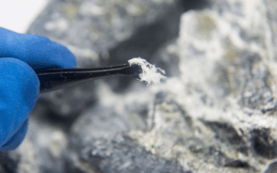 HSE Launches Consultation on Improving Asbestos Regulations and Guidance